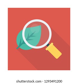 search   lab  magnifier  