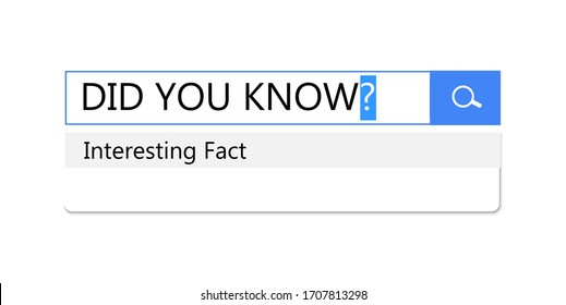 Search query in search bar for browser, template for site is an interesting fact and did you know, question bar, panel, window, vector illustration.