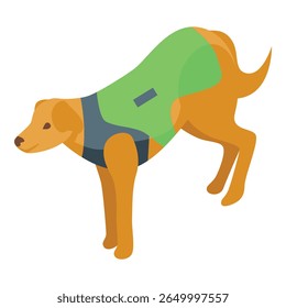Busca e resgate cão usando um colete verde está cheirando o chão
