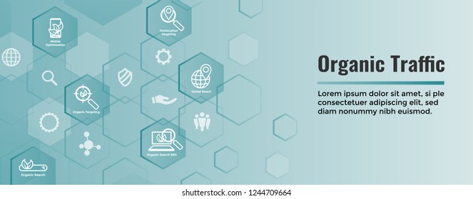 Search & SEO Web Header Hero Image Banner with organic growth, search, and locality ideas icon set