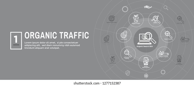Search & SEO Web Header Hero Image Banner with organic growth, search, and locality ideas icon set
