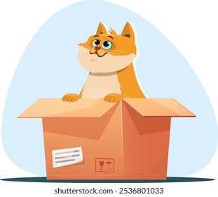 search for a shelter for a cat, an abandoned cat sitting in a cardboard box