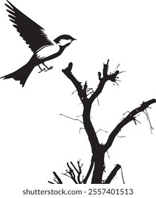 A searching black and white bird silhouette eps and illustrations