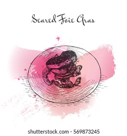 Seared Foie Gras watercolor effect illustration. Vector illustration of French cuisine.