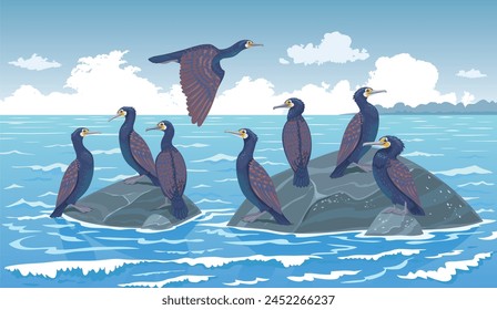 Seascape with cormorants sitting on rocks. Vector illustration