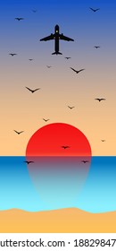 
seascape with flying airplane and seagulls at sunset