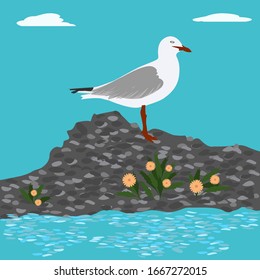 Seascape, island, cobblestones - A seagull sits on a stone, yellow daisies - vector. The world of birds. Journey. Tourism