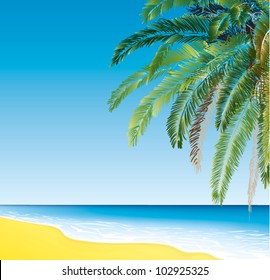 seascape  with a palm tree on the shore