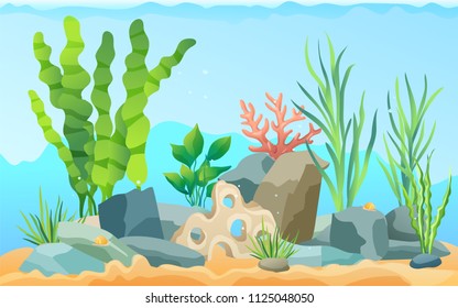 Seascape rocks and plants. Underwater view with sand and seaweed, snails animals crawling on bottom of sea. Aquatic image wildlife vector illustration