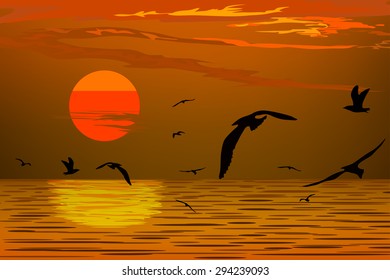 seascape and sunset vector