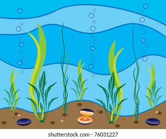 seascape with underwater fauna