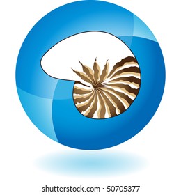 Seashell
