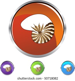 Seashell