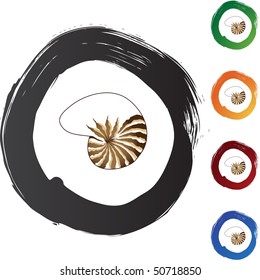 Seashell