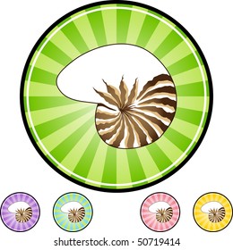 Seashell