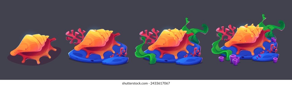 Seashell with algae and coral progress steps for game ui level rank design. Cartoon vector illustration set of underwater spiral clam conch with plant. Bright tropical marine or aquarium shell.