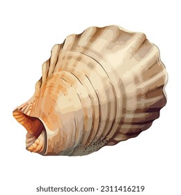 Seashell animal shells in decoration design icon isolated