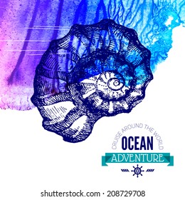 Seashell background. Ocean nautical design. Hand drawn sketch and watercolor vector illustration	
