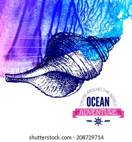 Seashell background. Ocean nautical design. Hand drawn sketch and watercolor vector illustration	