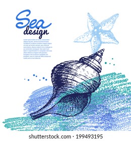 Seashell background. Sea nautical design. Hand drawn sketch and pencil illustration