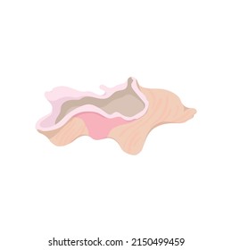 Seashell - beige and pink pastel flat illustration. Vector isolated on white background.