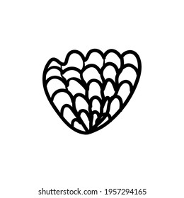 seashell bivalve scallop doodle. Black and white coloring. Cute monochrome print for printing on fabric, paper, wallpaper, packaging. Summer goods. Vector illustrations, drawings