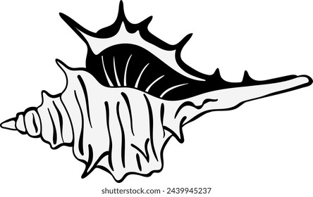 Seashell black icon. Conch drawing. Beach symbol