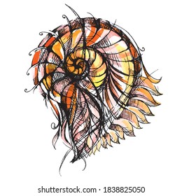 Seashell. Bright shell. Snail. Spiral