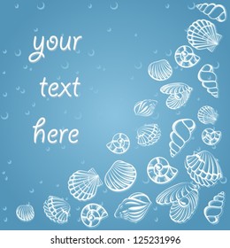Seashell card