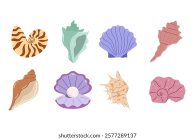 Seashell cartoon illustration set. Summer time, beach, holidays. Water, sea life. Vector isolated on white background