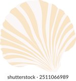 seashell clipart. minimalist seashell clipart isolated on a transparent background.	
