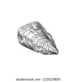 Seashell closed top view, hand drawn engraving vector illustration isolated on white background. Mussel mollusk shell for seafood restaurant or market logo design.