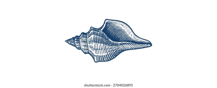 Seashell Coastal Boho Sem Costura Padrão Vetor Boêmio Praia Textura Imprimir