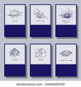 Seashell collection. Blue and white set. Vintage style cards and calendar pages. Vector illustration on a colorful background.