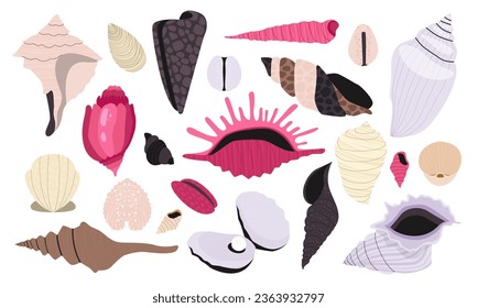 Seashell collection. Cartoon shellfish and coral, summer beach and ocean diving concept, mollusk icons flat style. Vector isolated set. Underwater exotic elements of various shapes and colors