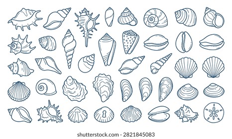 Seashell collection featuring hand drawn line art illustrations of diverse marine mollusk shells including scallop oyster conch snail clam and cockle unique organic shapes for nautical design projects beach themed vector graphics underwater sea life specimen sketches on white.