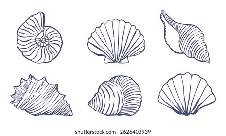Coleção de conchas. azul mediterrâneo tinta náutica retro ilustração, kit de verão viagem marinha. Concha submarina. Desenho de linha. Arte de linha minimalista