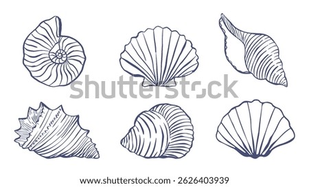 Seashell collection. Mediterranean blue ink nautical retro illustration, summer travel marine kit. Underwater seashell. Line drawing. Minimalist line art