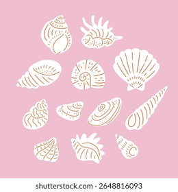 Seashell collection. Stylish vector hand-drawn shells isolated on the pink background. Beach print design.