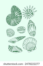 Seashell collection, summer beach, seashell set. Green shells, poster, print.