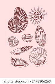 Seashell collection, summer beach, seashell set. Red shells, poster, print.