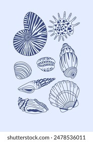 Seashell collection, summer beach, seashell set. Blue shells, poster, print.