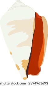 Seashell, color drawing, realistic. Vector illustration photorealism.
