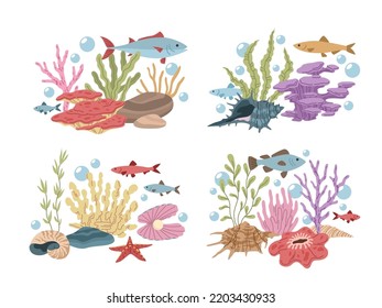 Seashell compositions. Color marine corals, algae and shells, aquarium decorations, starfish and fish, underwater life, creative decor elements, tidy vector hand drawn isolated set
