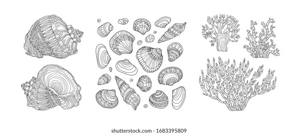 Seashell and coral set. Vector illustration. Zentangle. Coloring book page for adult. Hand drawn artwork. Beach concept for restaurant menu card, ticket, branding, logo label. Black and white.