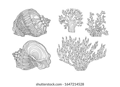 Seashell and coral. Vector illustration. Zentangle. Coloring book page for adult. Hand drawn artwork. Beach concept for restaurant menu card, ticket, branding, logo label. Black, white