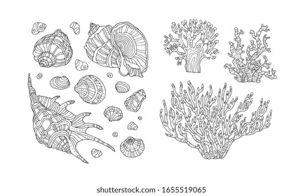 Seashell and coral. Vector illustration. Zentangle. Coloring book page for adult. Hand drawn artwork. Beach concept for restaurant menu card, ticket, branding, logo label. Black, white