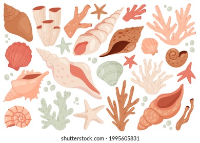 Seashell cute marine set vector illustration. Cartoon underwater shell object collection from sea ocean bottom, beach or aquarium, starfish coral mollusk clam conch spiral snail isolated on white