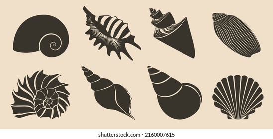 Seashell dark black silhouettes set isolated. Sea shell vector illustration