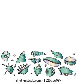 seashell design vector illustration